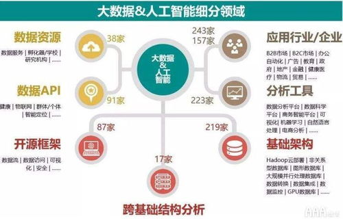 大數據分析 解鎖數據處理與存儲服務的無限潛能